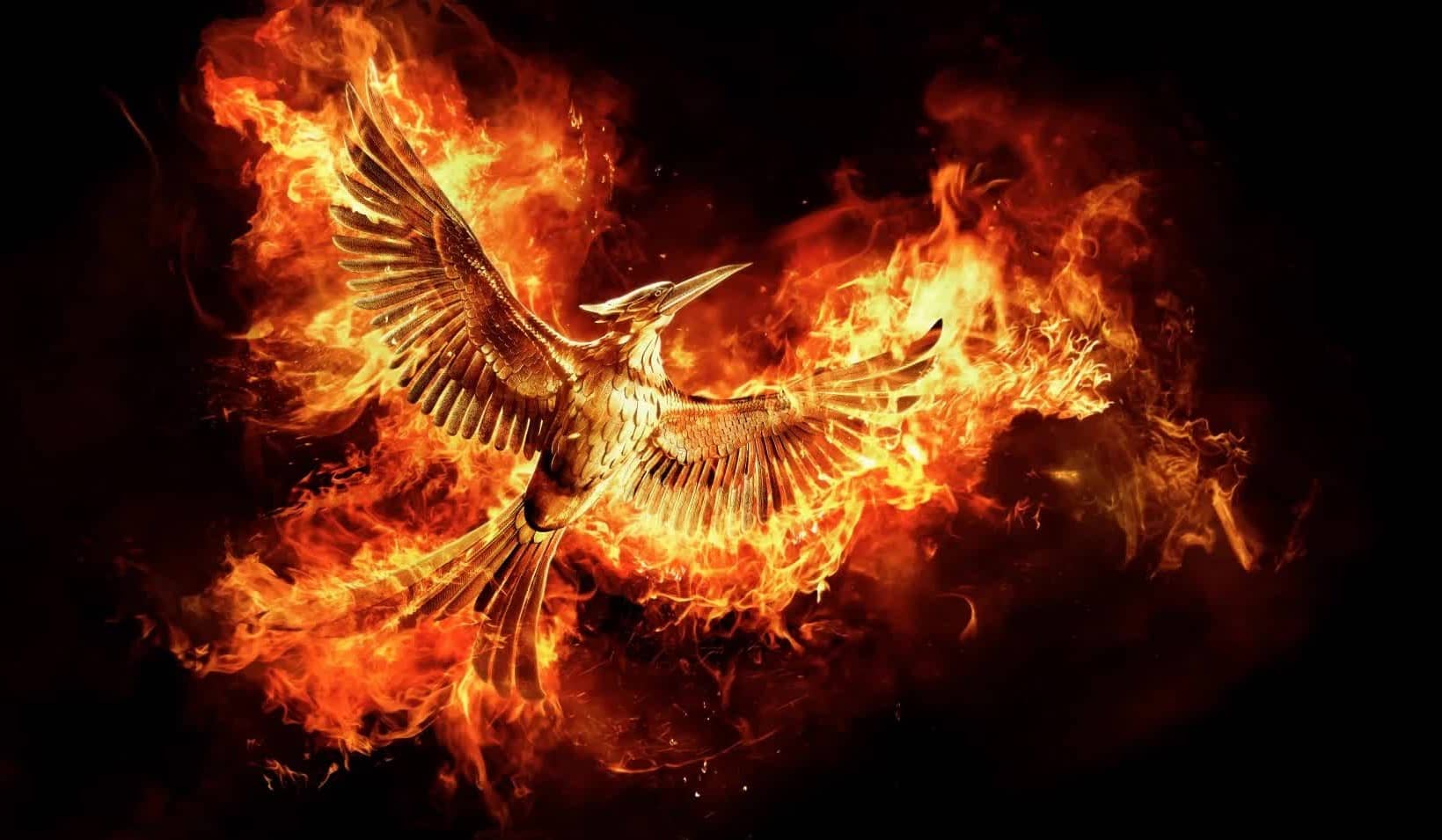 صورة خلفية لسلسلة The Hunger Games